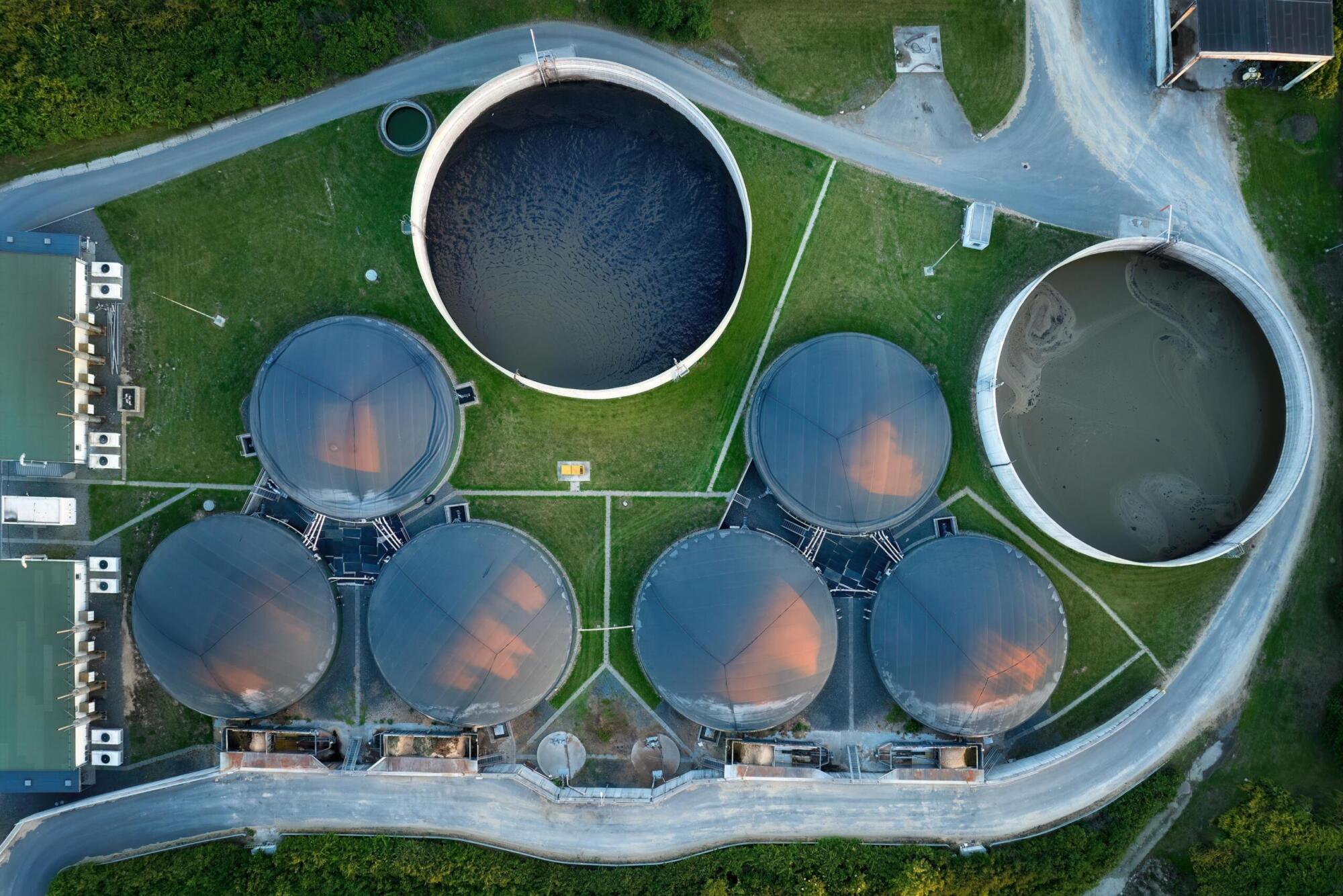 Bioenergy