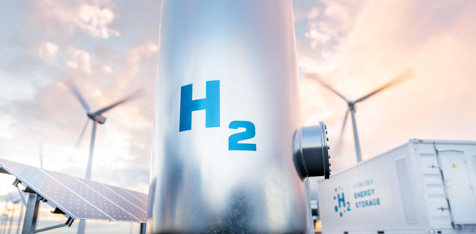 Green Hydrogen and Ammonia: value chain and regulatory context insights