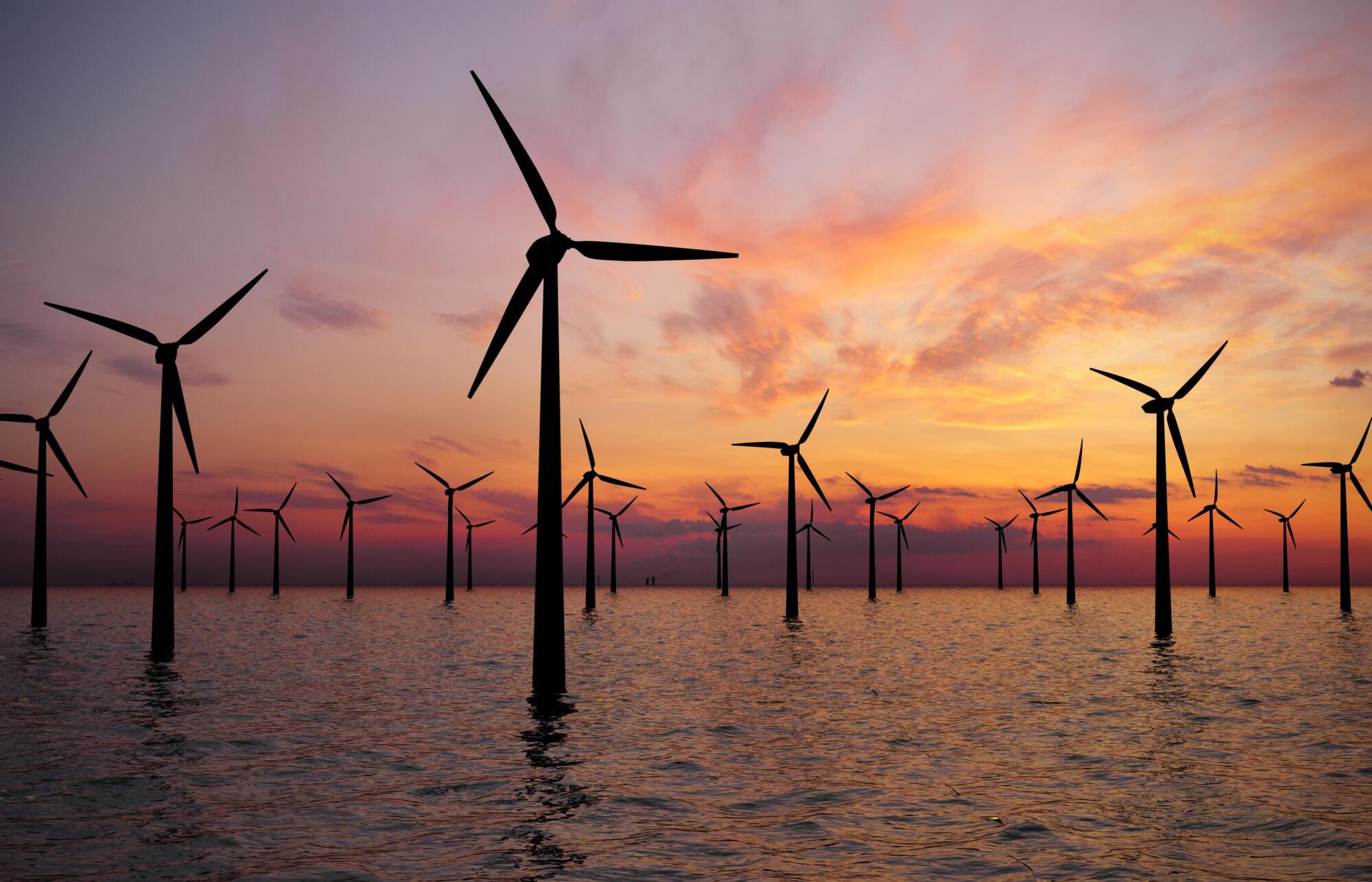 Novocastrian Offshore Wind