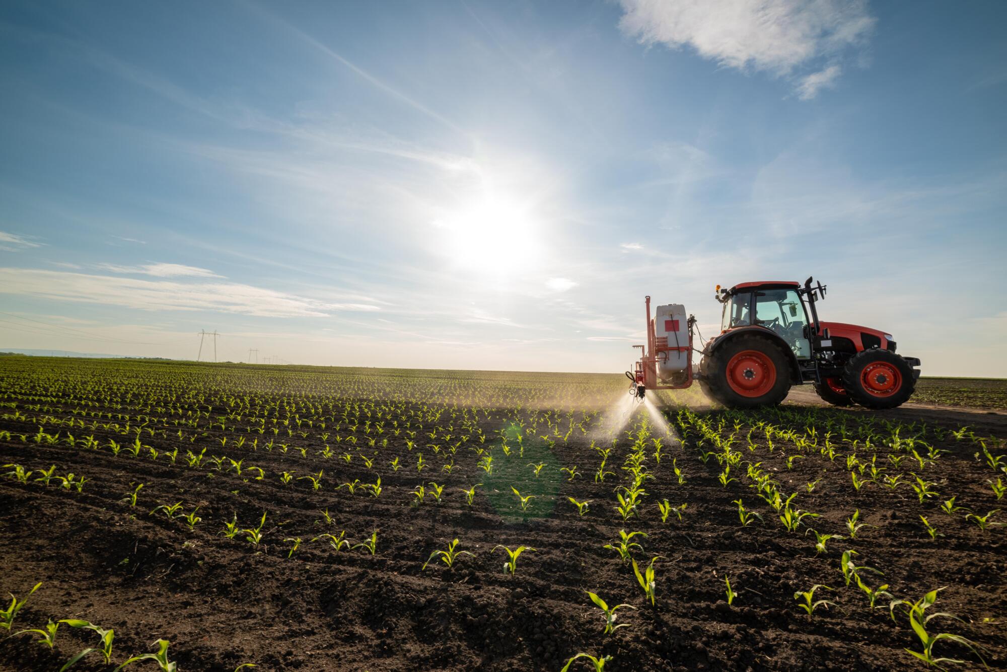 Unearthing the gold in soil