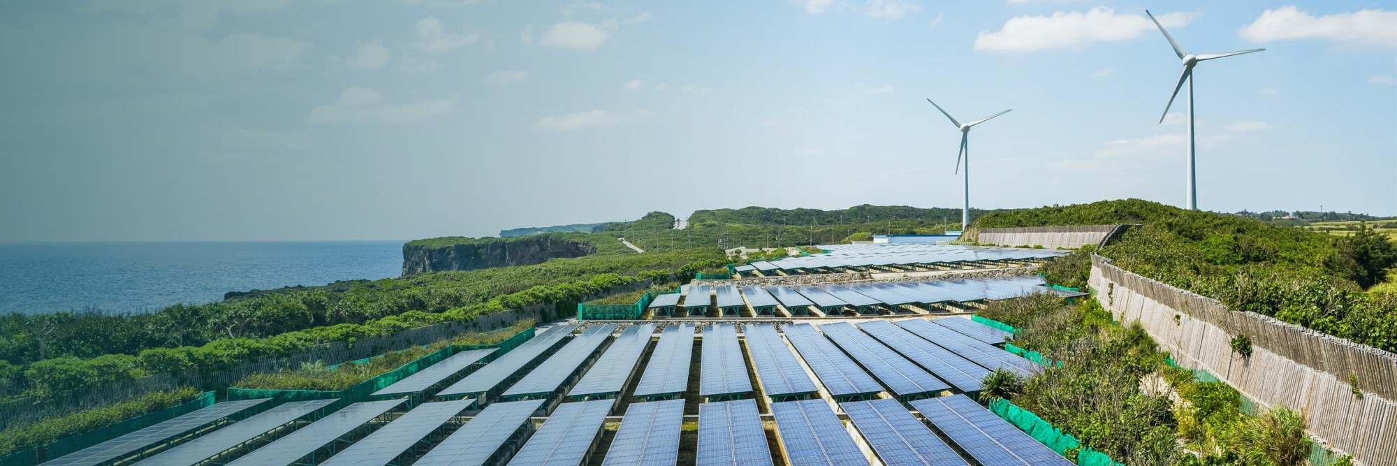 Latest supporters of the energy transition are neither hippies nor dreamers